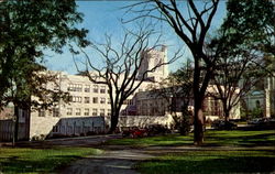 The Harvey S. Firestone Memorial Library, Princeton University Postcard
