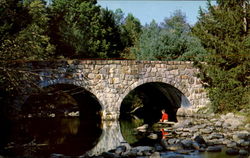 Big Flatbrook, Stokes State Forest, Sussex County Postcard