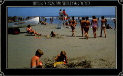 Hello From Wildwood Postcard