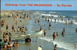 Greetings From The Wildwoods Postcard