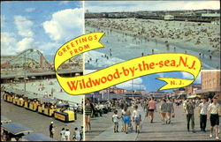 Greetings From Wildwood-By-The-Sea Postcard