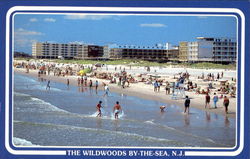 The Wildwoods New Jersey Postcard Postcard