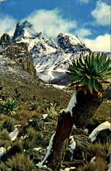 Mt. Kenya Nairobi, Kenya Africa Postcard Postcard