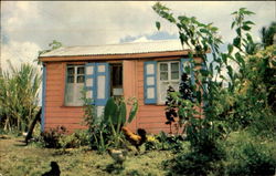 Gaily Painted Antigua House Postcard