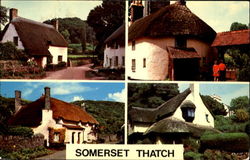 Somerset Thatch England Postcard Postcard