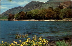 Ben Lomond From Rowardennan Postcard