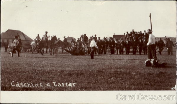 Catching A Tartar Rodeos