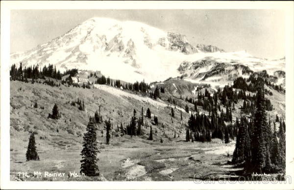 Mt. Rainier Mount Rainier Washington