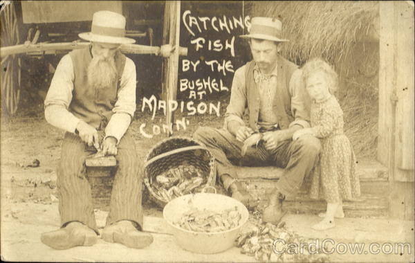 Catching Fish By The Bushel Madison Connecticut
