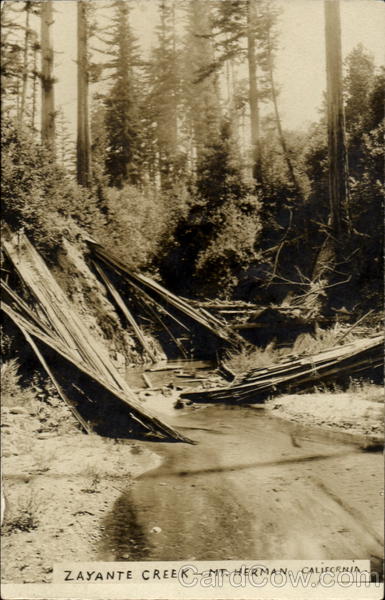 Zayante Creek Mount Hermon California