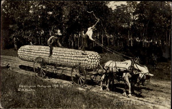Corn - Wagon & Horses W. H. Martin Exaggeration
