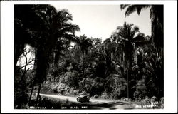 Carretera Postcard