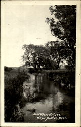 Platte River Near Dalton Scenic, NE Postcard Postcard