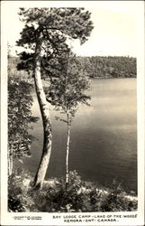 Bay Lodge Camp-Lake-Of-The-Woods Postcard