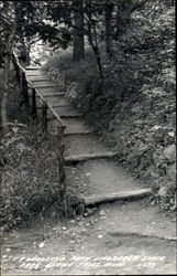 Woodland Path Lindbergh State Park Postcard