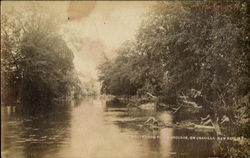 South From Piou Grounds, Unadilla Postcard