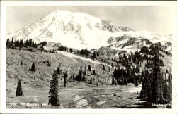 Mt. Rainier Mount Rainier, WA Postcard Postcard