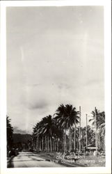 One Of Many New Guinea Highways Postcard