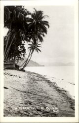 A Beach In New Guinea Postcard