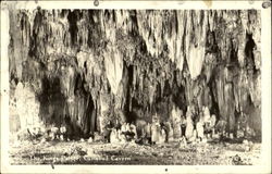 The Kings Palace, Carlsbad Caverns Postcard