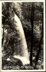 Rainbow Falls Mt. LeConte Postcard