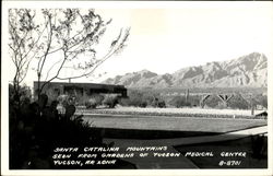 Santa Catalina Mountains Postcard