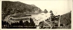 Lookout Cottage, Avalon Postcard