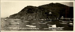 Pleasure Wharf Avalon, Avalon Santa Catalina Island, CA Postcard Postcard