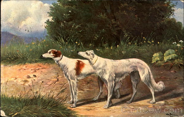 Two Dogs on Path