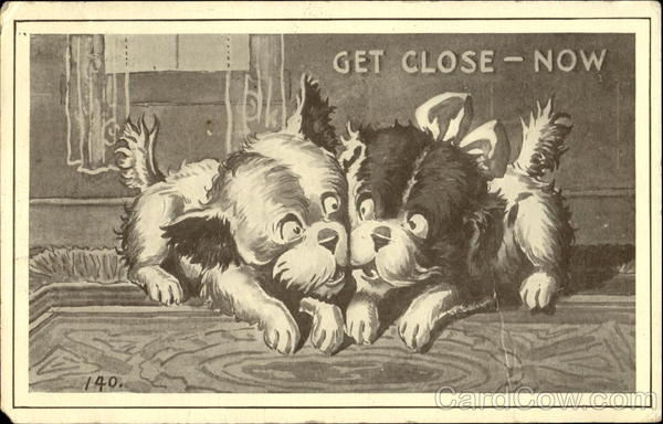 Get Close Now Dogs