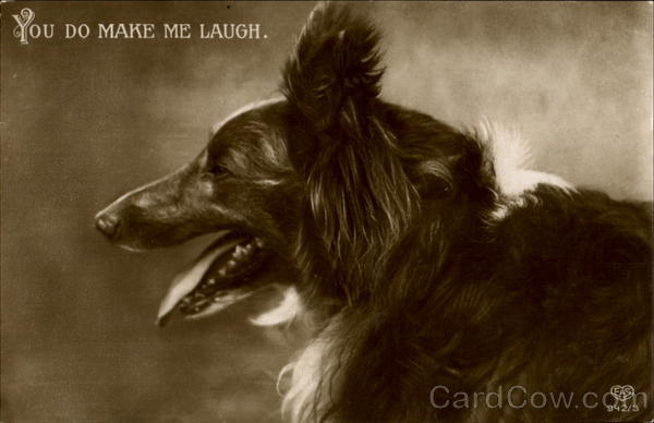 You Do Make Me Laugh Dogs
