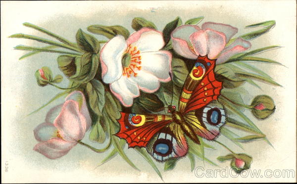 Butterfly, Flowers