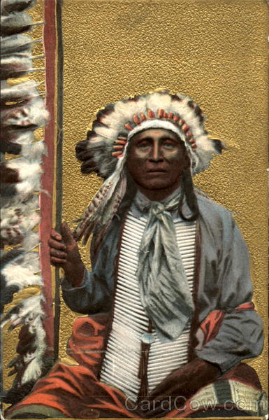 Indian Chief Native Americana