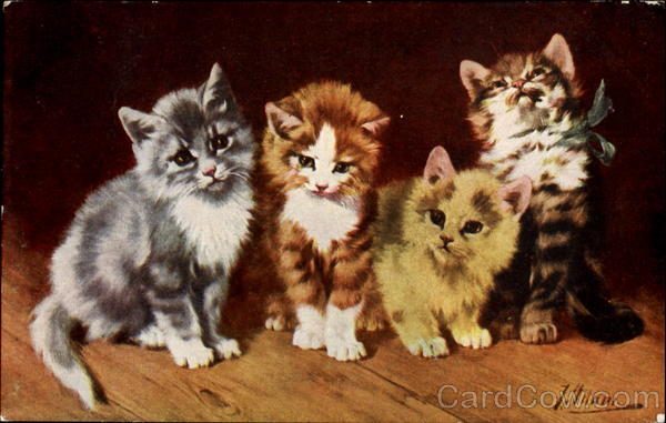 Kittens - signed Cats