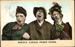 Pretty Little Pansy Faces Postcard