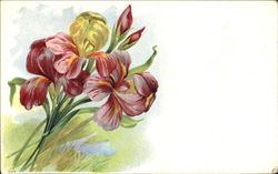 Flowers Postcard