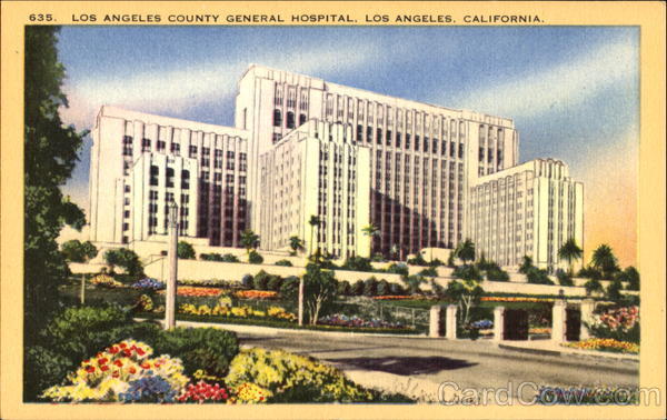 Los Angeles County General Hospital California