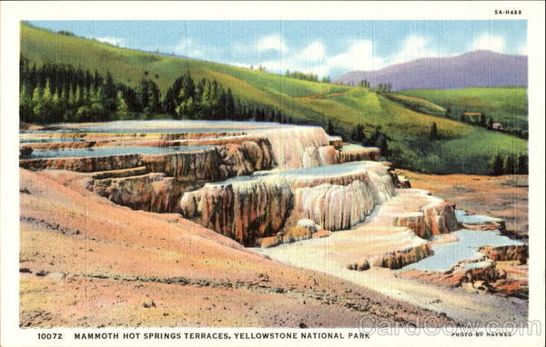 Mammoth Hot Springs Terraces Yellowstone National Park Wyoming