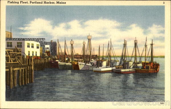 Fishing Fleet Portland Maine