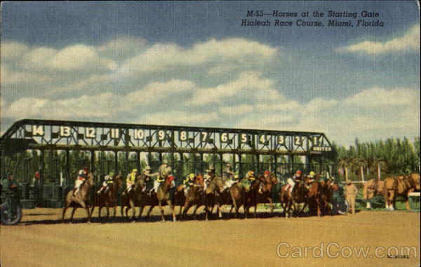 Horses At The Starting Gate, Hialeah Race Course Miami Florida