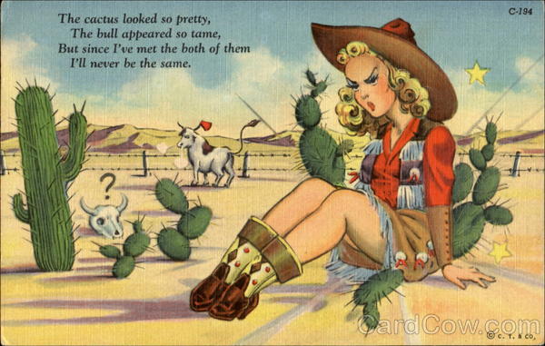 Cogirl on Cactus Cowboy Western