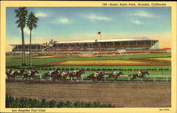 Santa Anita Park Arcadia, CA Postcard Postcard