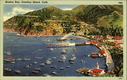 Avalon Bay Santa Catalina Island, CA Postcard Postcard