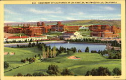 University Of California At Los Angeles Westwood Hills Postcard