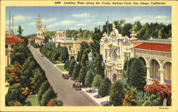 Looking West Along The Prado, Balboa Park Postcard