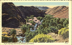 Palm Canyon Palm Springs, CA Postcard Postcard