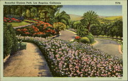 Beautiful Elysian Park Los Angeles, CA Postcard Postcard