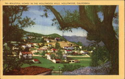 Beautiful Homes In The Hollywood Hills California Postcard Postcard