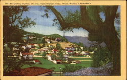 Beautiful Homes In The Hollywood Hills Postcard