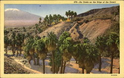 An Oasis On The Edge Of The Desert Postcard